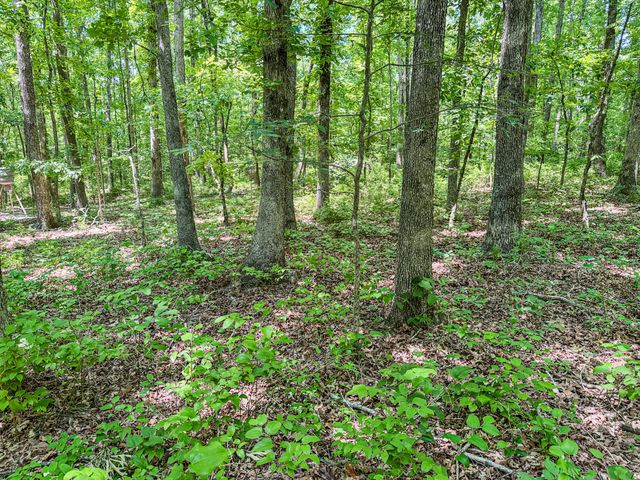 220 Ovilla Ln, Lawrenceburg, TN 38464