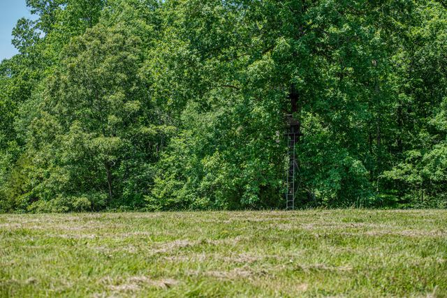 220 Ovilla Ln, Lawrenceburg, TN 38464