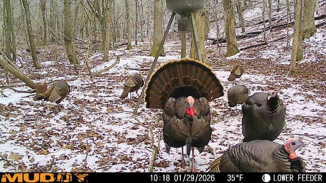 220 Ovilla Ln, Lawrenceburg, TN 38464