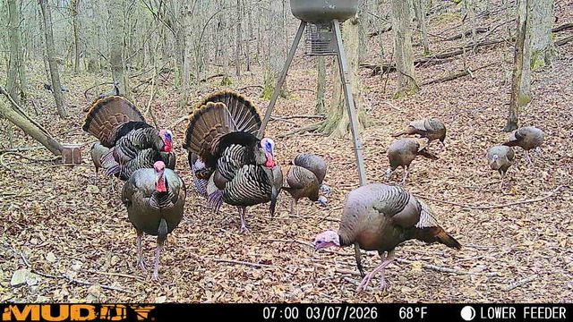 220 Ovilla Ln, Lawrenceburg, TN 38464