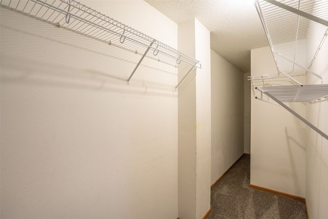 3208 SW Olde Ivy Circle, Ankeny, IA 50023