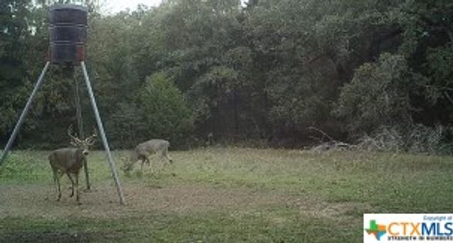 2941 E Fm 485, Cameron, TX 76520