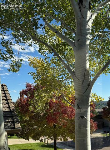 4716 Julliard Drive, Colorado Springs, CO 80918