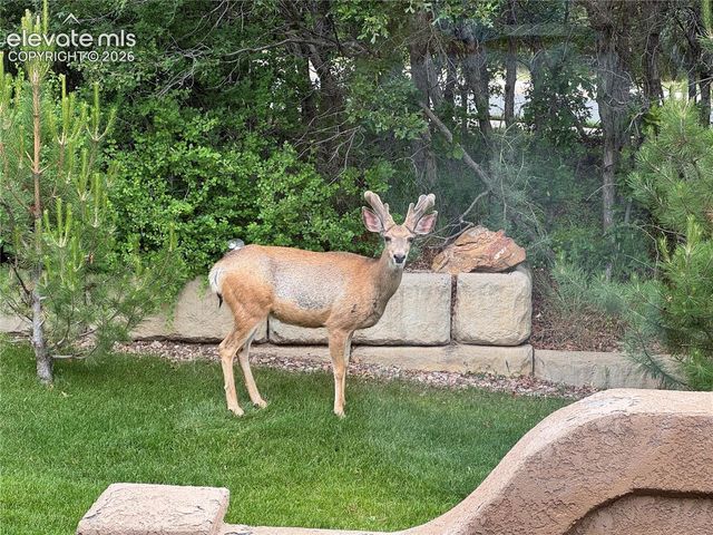 4716 Julliard Drive, Colorado Springs, CO 80918