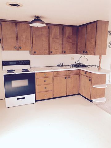 321 N Ball Street, Owosso, MI 48867