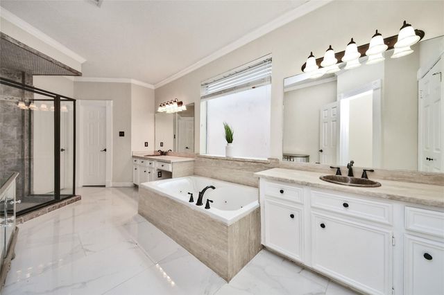 17311 Rothko Lane, Spring, TX 77379