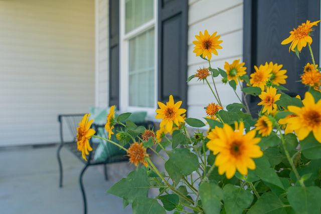 43 Little Peru Ct., Georgetown, SC 29440