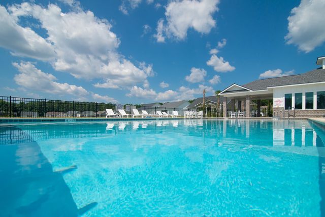 43 Little Peru Ct., Georgetown, SC 29440