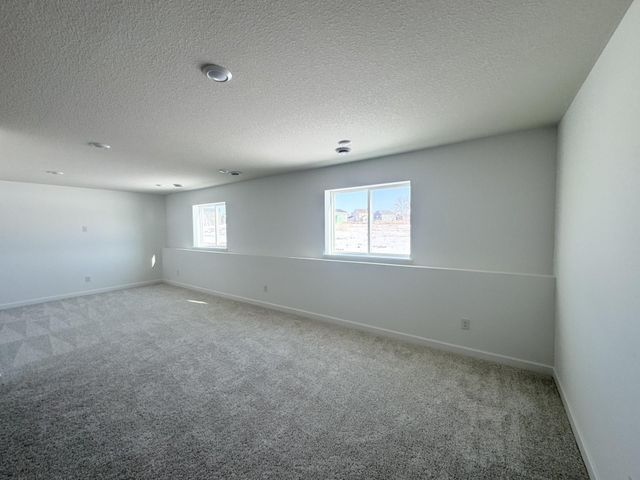 1922 Ironwood Drive, Carver, MN 55315