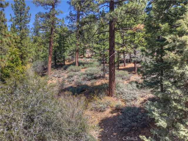 1099 Canyon, Fawnskin, CA 92333