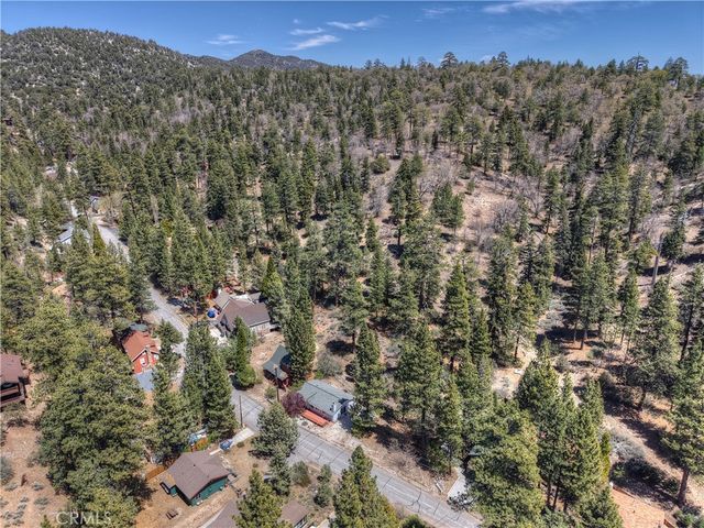 1099 Canyon, Fawnskin, CA 92333