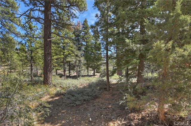 1099 Canyon, Fawnskin, CA 92333