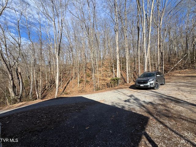 2210 Carter Street, Big Stone Gap, VA 24219