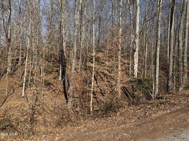 2210 Carter Street, Big Stone Gap, VA 24219