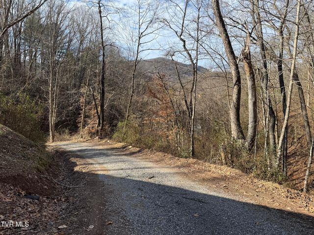 2210 Carter Street, Big Stone Gap, VA 24219