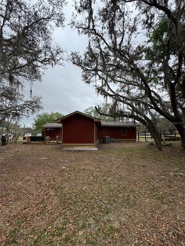 18001 PHIL C PETERS ROAD, Winter Garden, FL 34787