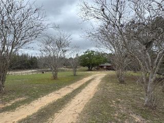 18001 PHIL C PETERS ROAD, Winter Garden, FL 34787