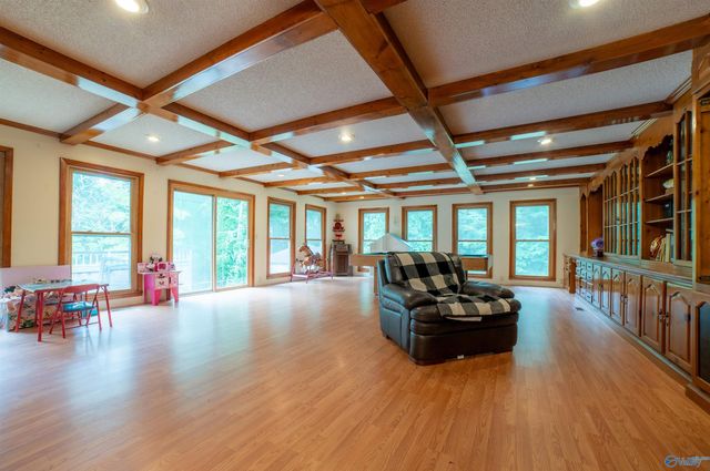 2801 County Road 107, Skyline, AL 35768