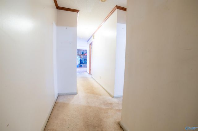 2801 County Road 107, Skyline, AL 35768