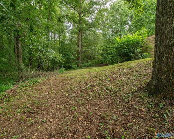 2801 County Road 107, Skyline, AL 35768