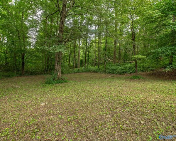 2801 County Road 107, Skyline, AL 35768