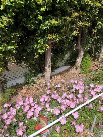 1065 Lomita 250, Harbor City, CA 90710