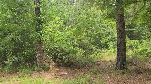 Lot 14 Basswood Lane, Plantersville, TX 77363