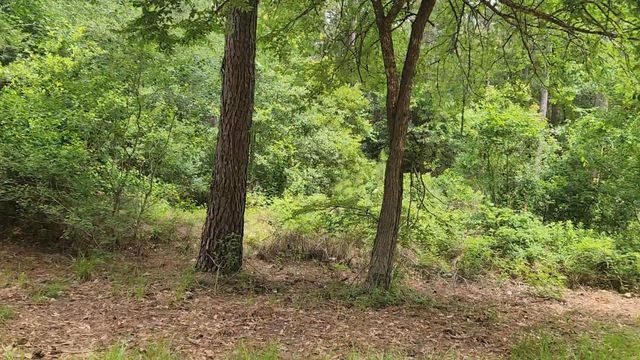 Lot 14 Basswood Lane, Plantersville, TX 77363