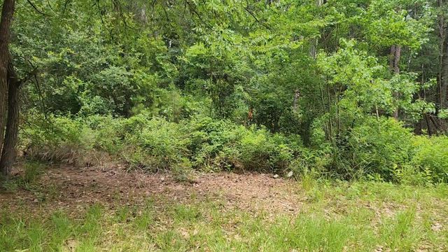 Lot 14 Basswood Lane, Plantersville, TX 77363