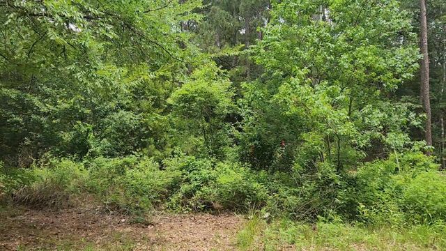 Lot 14 Basswood Lane, Plantersville, TX 77363