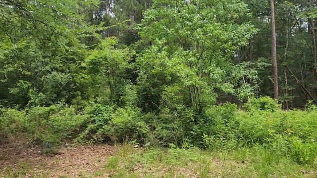 Lot 14 Basswood Lane, Plantersville, TX 77363