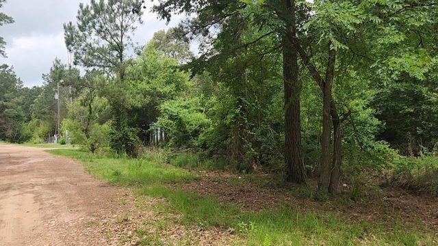 Lot 14 Basswood Lane, Plantersville, TX 77363