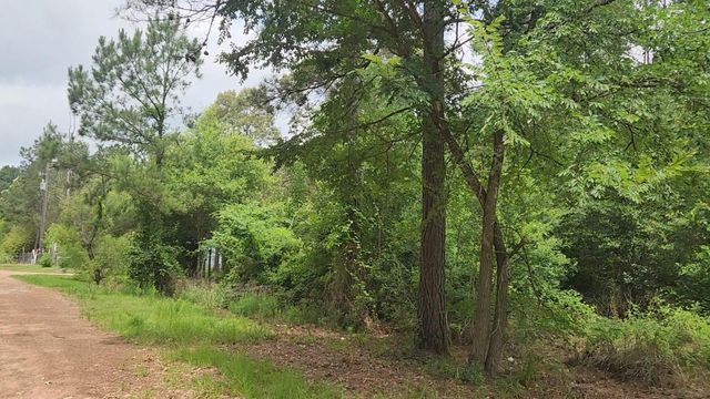 Lot 14 Basswood Lane, Plantersville, TX 77363