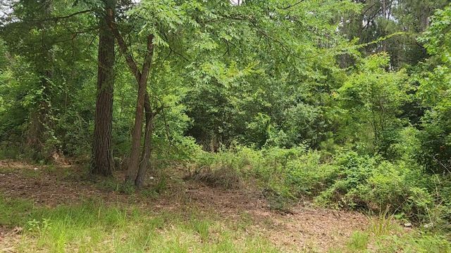 Lot 14 Basswood Lane, Plantersville, TX 77363