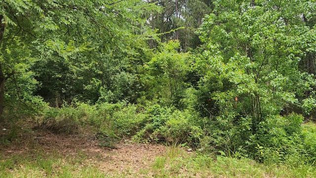 Lot 14 Basswood Lane, Plantersville, TX 77363