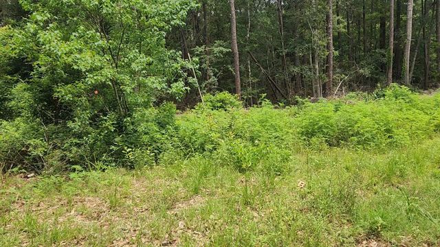 Lot 14 Basswood Lane, Plantersville, TX 77363