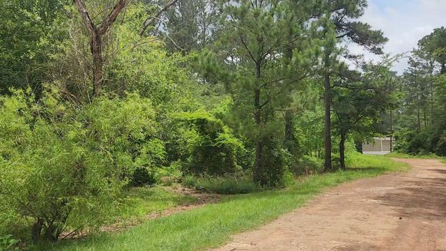 Lot 14 Basswood Lane, Plantersville, TX 77363