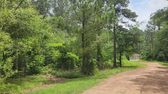 Lot 14 Basswood Lane, Plantersville, TX 77363