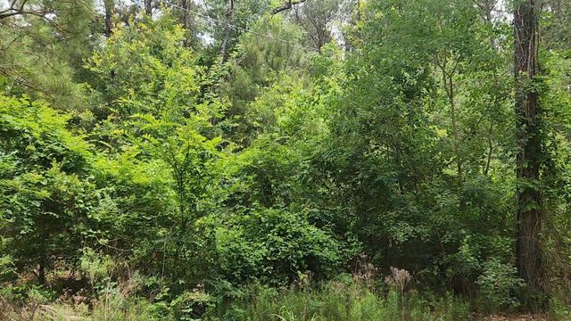Lot 14 Basswood Lane, Plantersville, TX 77363