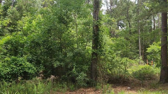 Lot 14 Basswood Lane, Plantersville, TX 77363
