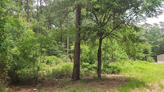 Lot 14 Basswood Lane, Plantersville, TX 77363