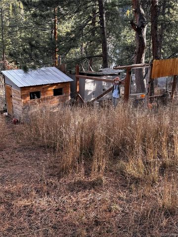 10627 Twin Spruce Road, Golden, CO 80403