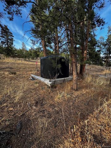 10627 Twin Spruce Road, Golden, CO 80403