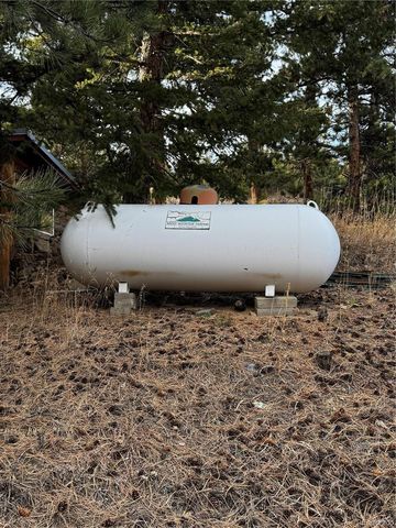 10627 Twin Spruce Road, Golden, CO 80403