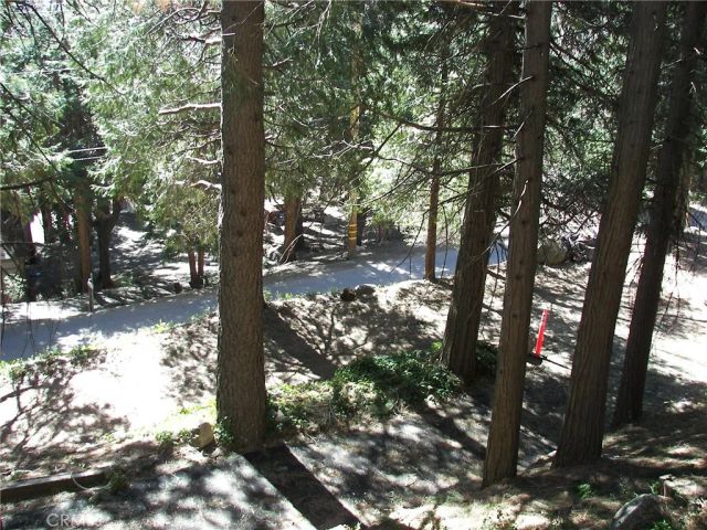 21636 Sawpit Canyon, Cedarpines Park, CA 92322