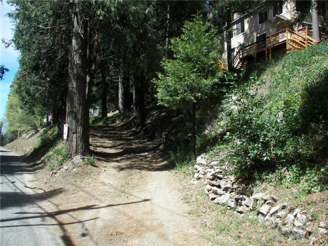 21636 Sawpit Canyon, Cedarpines Park, CA 92322