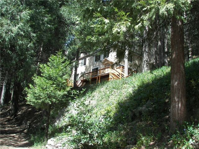 21636 Sawpit Canyon, Cedarpines Park, CA 92322