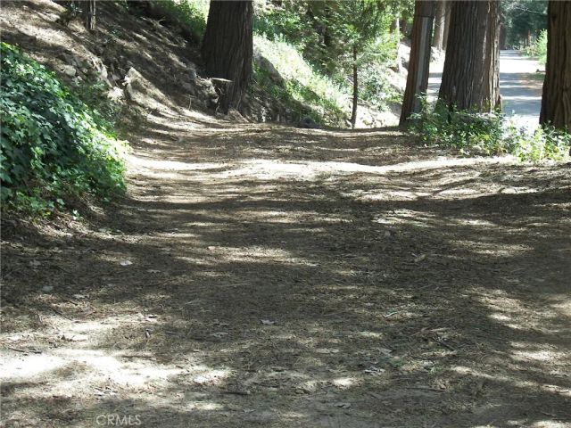 21636 Sawpit Canyon, Cedarpines Park, CA 92322