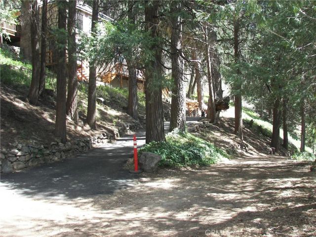 21636 Sawpit Canyon, Cedarpines Park, CA 92322