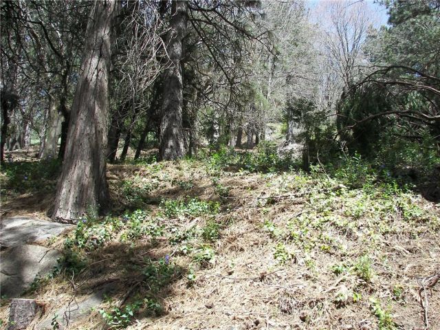 21636 Sawpit Canyon, Cedarpines Park, CA 92322